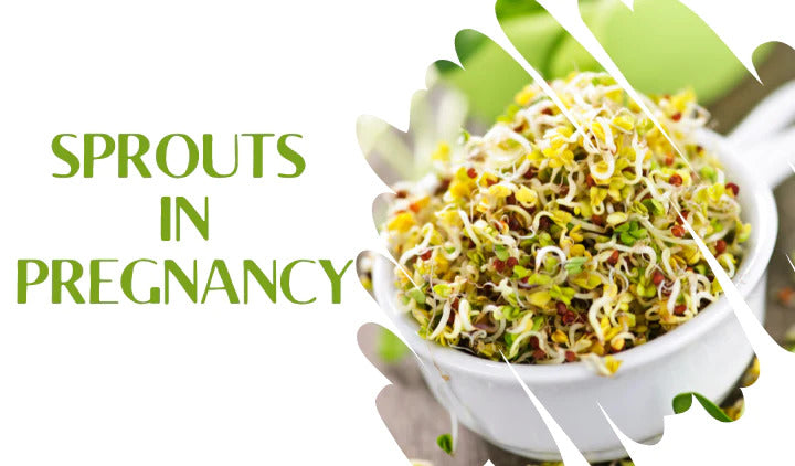 Sprouts in Pregnancy is it Safe to Eat 2023